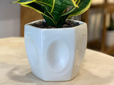 Bluetone Ceramics
